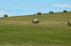 DSCN0196.jpg