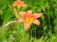 DSCN0220.jpg