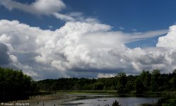 DSCN0203-2.jpg