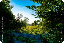sunrise-9400.jpg