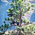 DSC_9579-Edit.jpg