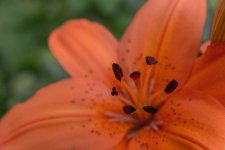 June 26, 2016-0003.jpg