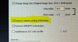 Capture.PNG