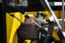 DSC_1031dogs.jpg