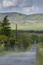 DSC_3943.jpg