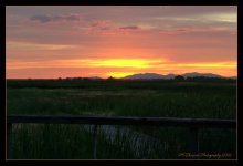 Sunset 7-1-2016.jpg