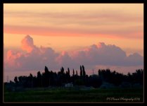 Pink Reflection Clouds 7-1-2016.jpg