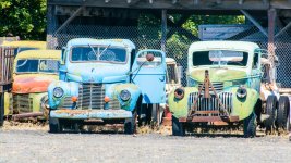 DSC_1479.jpg