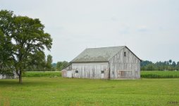 DSC_0317 nxd.jpg