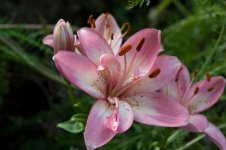 DSC_1754.jpg