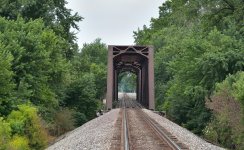 DSC_0316 nxd.jpg