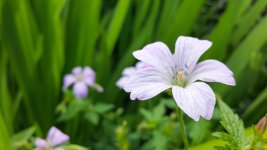 20160703_144903.jpg