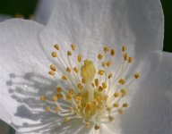 _DSF6397 - copie.jpg