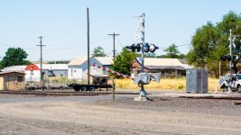 DSC_1511.jpg