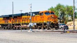 DSC_1522.jpg