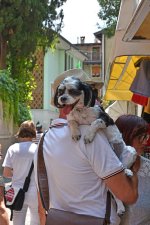 DSC_1051dog2.jpg
