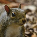 _DSC6287.jpg