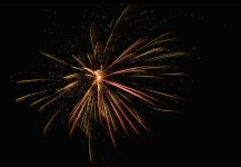 _DSC6273.jpg