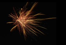 _DSC6260.jpg
