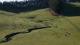 DSC_2760.jpg