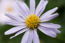 DSC_3677.jpg