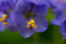 DSC_3680.jpg