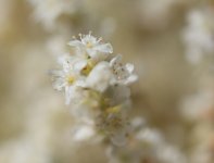 DSC_3687.jpg