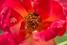 DSC_3710.jpg