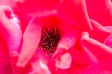 DSC_3711.jpg