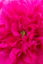 DSC_3715.jpg