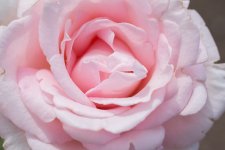 DSC_3717.jpg