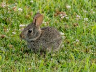 DSC_5356.jpg