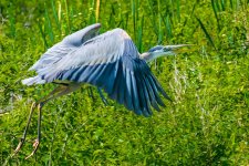 D71_6327-Edit.jpg
