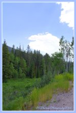 Oregon Trail Canyon Road 7-3-2016.jpg