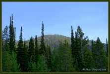 Oregon Trail Canyon Road #2 7-3-2016.jpg