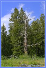Oregon Trail Canyon Road #4  7-3-2016.jpg