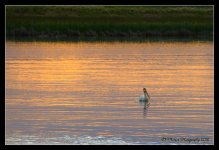 Sunset at Bear Lake #2 7-3-2016.jpg