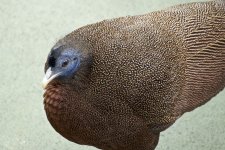 _AAA8442 - Version 2.jpg