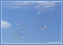 Bear Lake Bubbles #3 7-4-2016.jpg