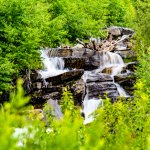 DSC_9230.jpg