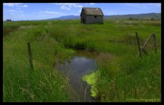 House at the Bear Lake Refuge 7-5-2016.jpg
