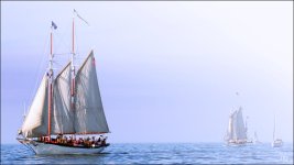7-7-16 Tall Ships   18sm.jpg