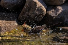 DSC_5847.jpg