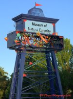 Museum of Natural Curiosity  7-7-2016.jpg