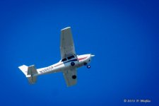 D72_0311.jpg
