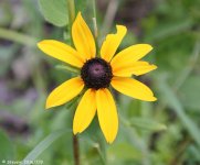 DSC_3429.jpg