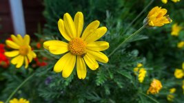 July 07, 2016-0026-2.jpg