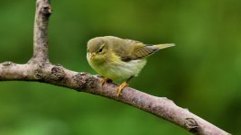 DSC_0238.jpg