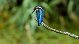DSC_0319.jpg