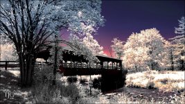 7-10-16 WinkLiz IR   3.1sm.jpg
